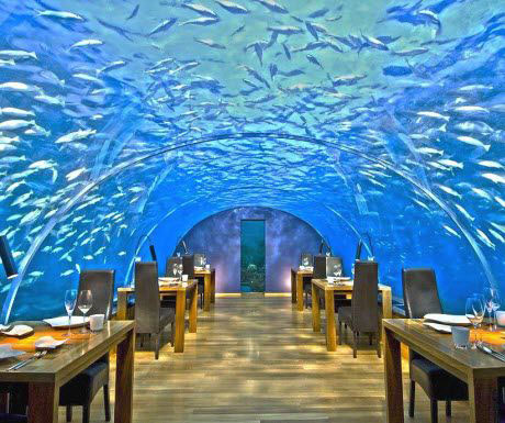 Еда в подводном ресторане на Мальдивах